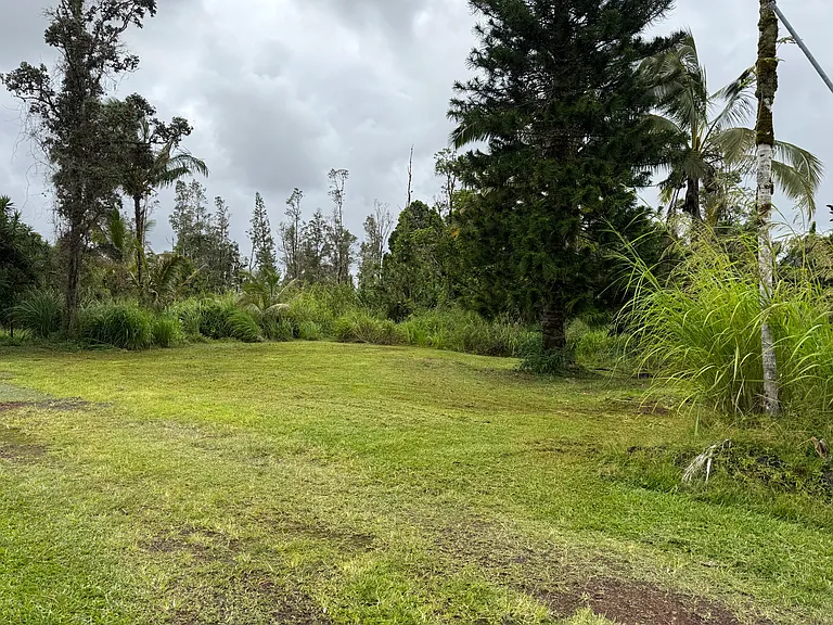 extra large yard