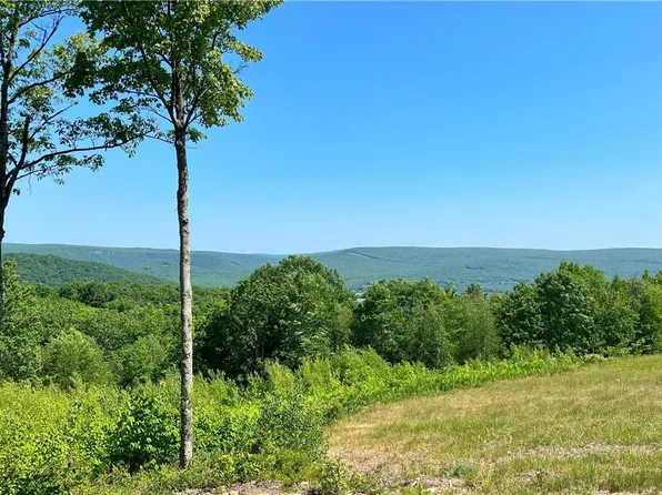 19 Flagstaff Dr, Jim Thorpe, PA 18229