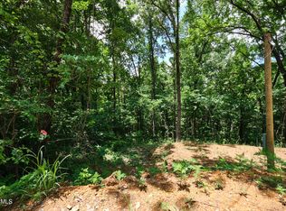 Blowing Cave Rd, Sevierville, TN 37876