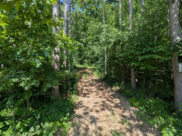 North Ave, Bellevue, MI 49021