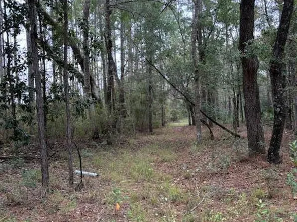 0 Everest Dr, Chipley, FL 32428