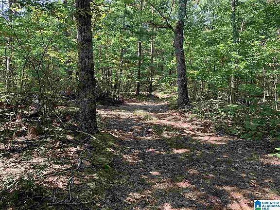 2nd image of 625 Highland Woods #6