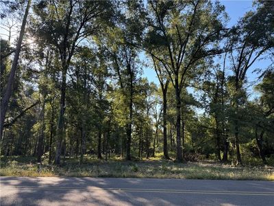 Dp 2 Carter Cemetery Rd, Springfield, LA, 70462