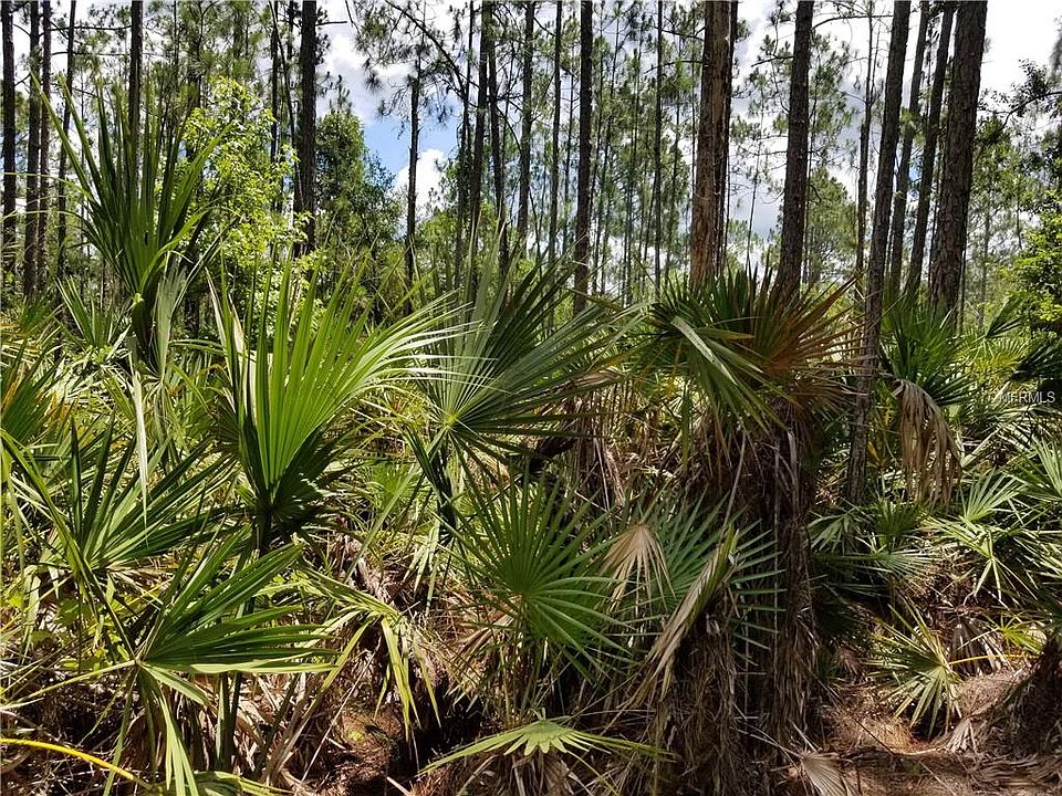 1289 Tall Pines Dr Osteen FL Zillow