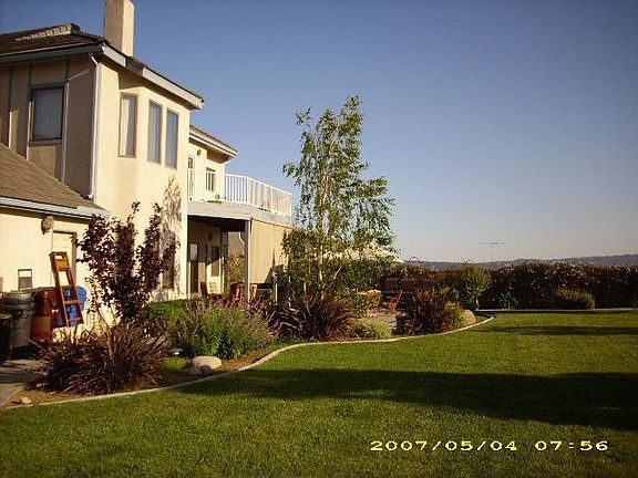 portion of back yard