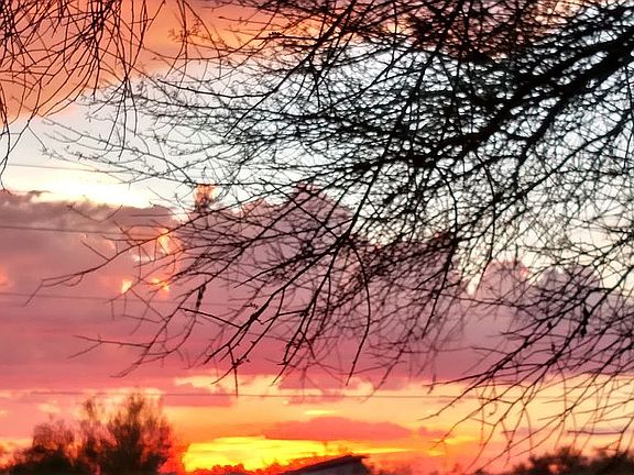 Evening sunset/back porch