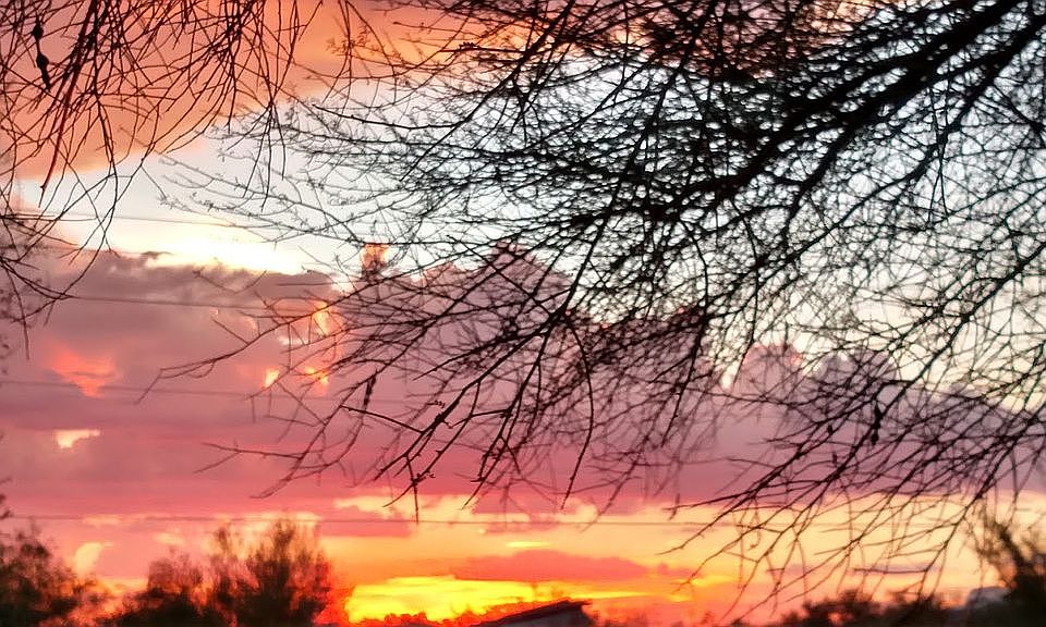 Evening sunset/back porch