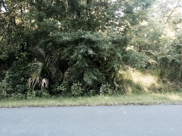 2597 County Road 426f, Lake Panasoffkee, FL 33538