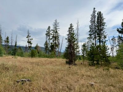 LOT 176 Hoch Eye Way, Oak Creek, CO, 80467