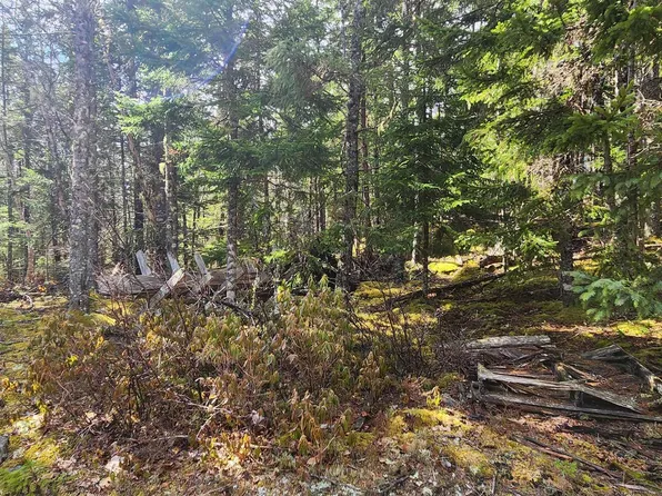 LOT Woods Rd, Chester, NS B0J 1T0