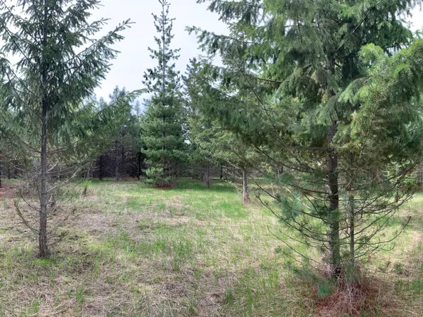 S Hells Gulch Rd, Saint Maries, ID 83861