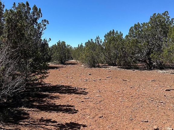 5th image of 30 County Road 3190