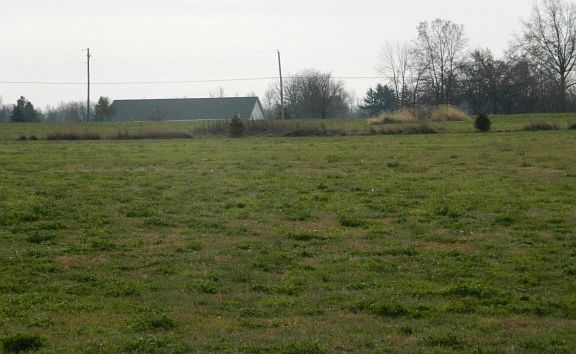 5th image of Andrews Dr