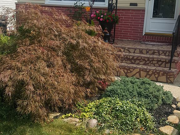 2nd image of 6679 Glenallen Ave