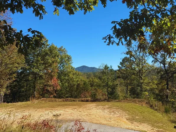 1 Brasstown Trl, Warne, NC 28909