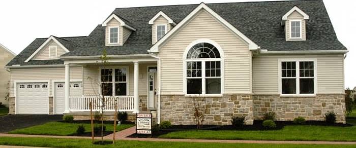 Gerbera Exterior
