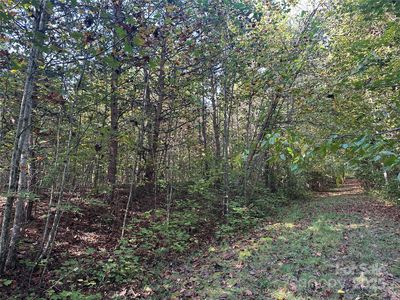TRACT 1 Timber Rd, Marion, NC, 28752