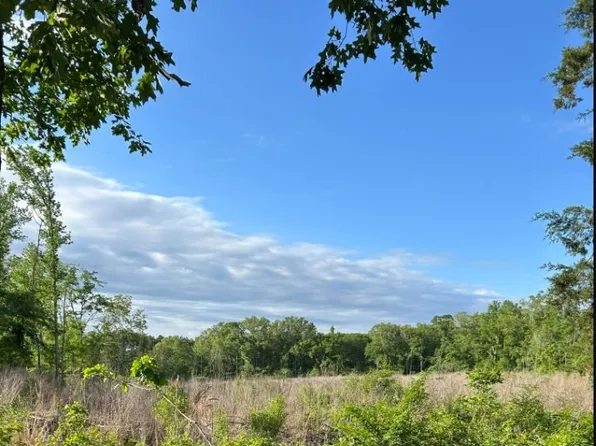 0 Circle M Dr, Grand Cane, LA 71032