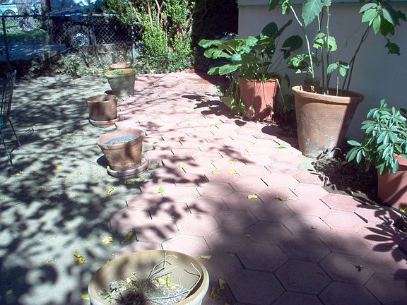 Brick Pathway