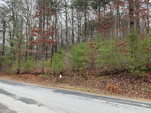 4th image of LOT 59 Old Toccoa Loop #59