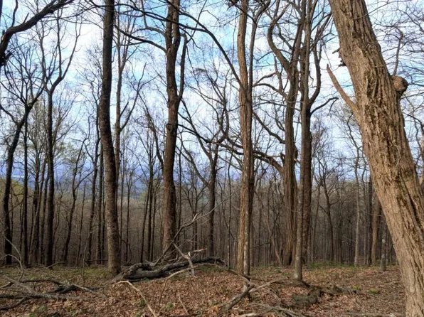 7188 Ridgeview Dr, Jasper, GA 30143