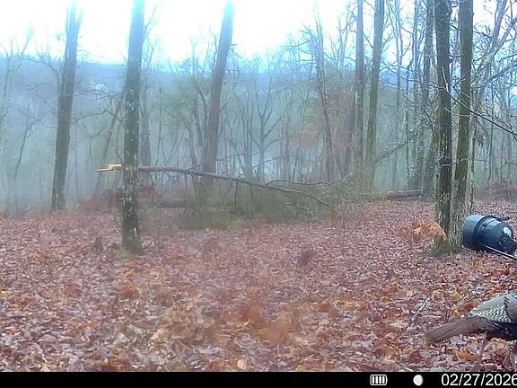 3rd image of 0A Meece Mill Rd