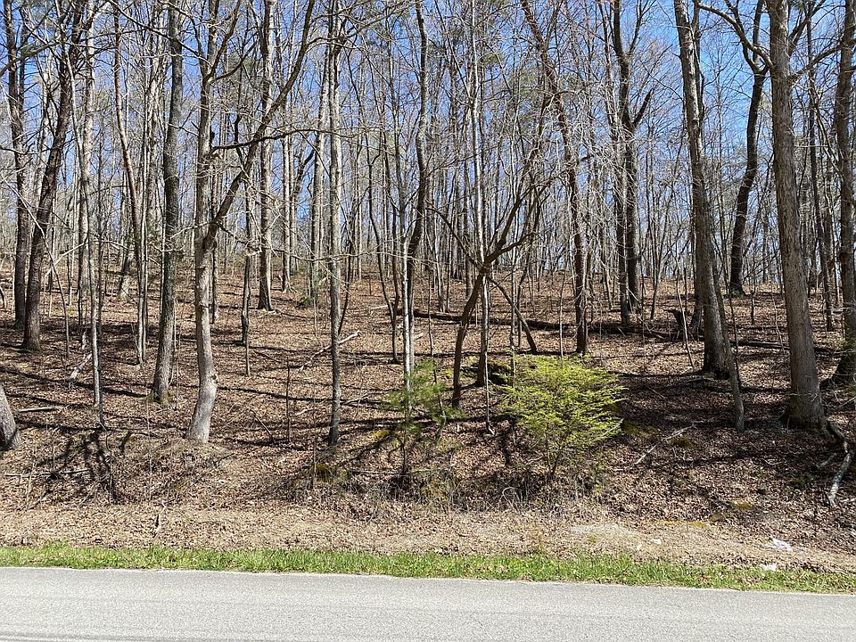 2nd image of 0 Manor Rd Lot 4