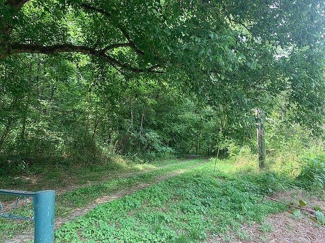 10th image of this home