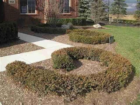 4th image of 50925 Pinnacle Woods Ln