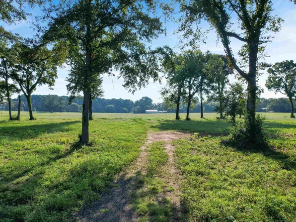 99 County Road 2225, Daingerfield, TX 75638