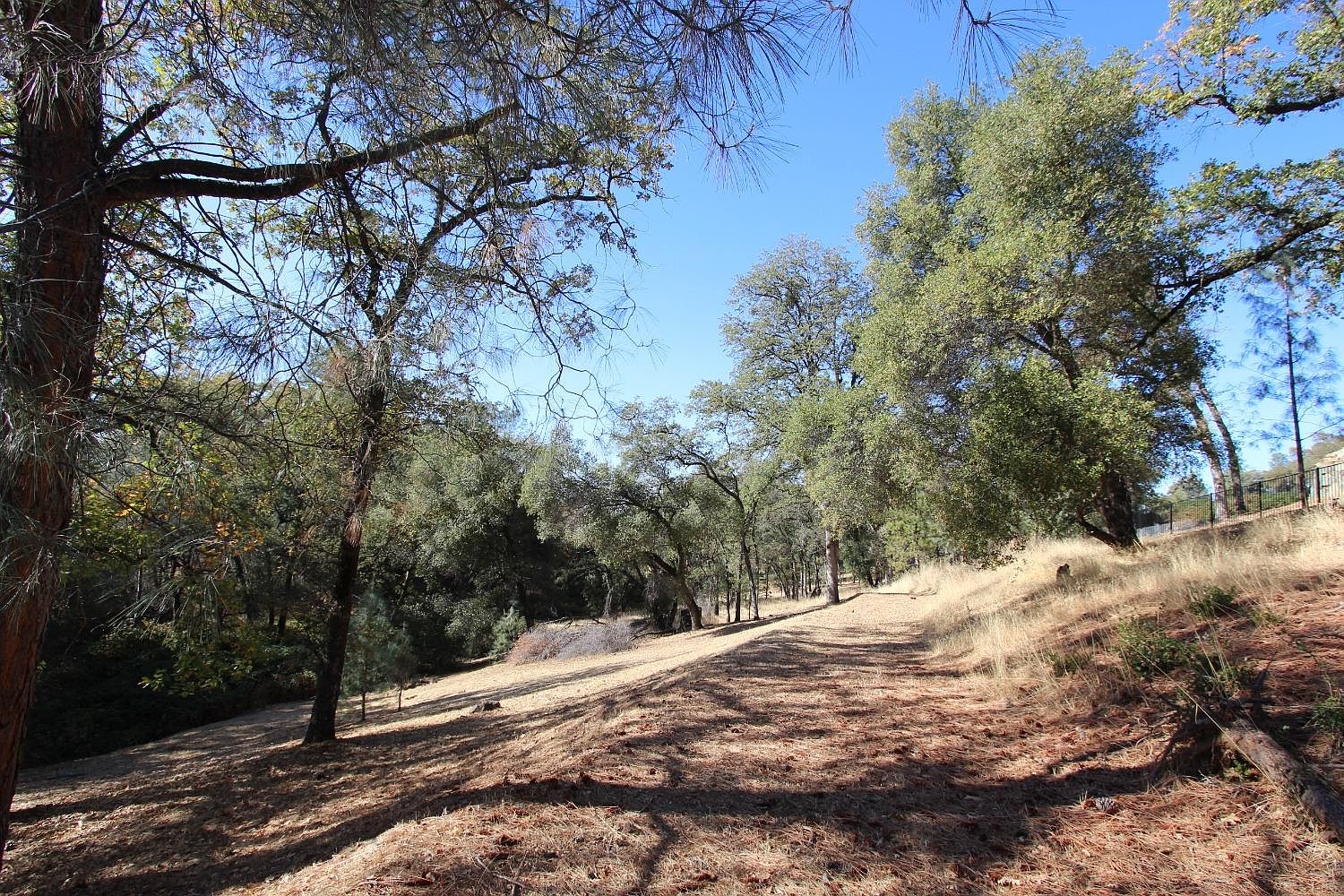 12848 Austin Forest Cir