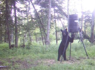 W17308 Harrington Rd, Gould City, MI 49838