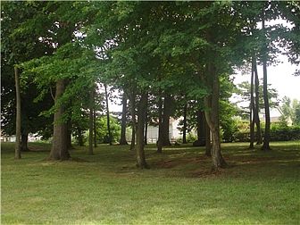 All the way in the back, sits on cul-de-sac