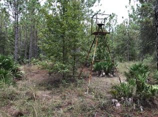 265 Eagle Creek Rd, Palatka, FL 32177