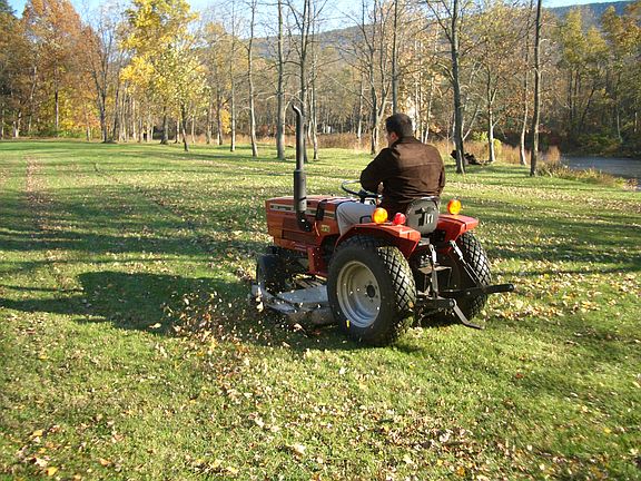 Autumn view downstream