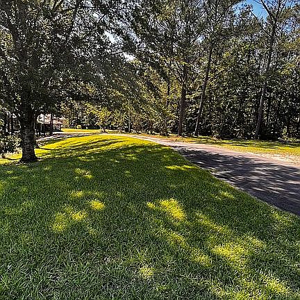 View from front porch 