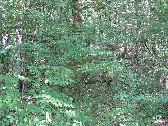 3rd image of 0 Old Tribble Ln Lot 88.00