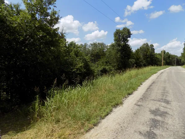 Tbd Cane Creek Road, Kissee Mills, MO 65680