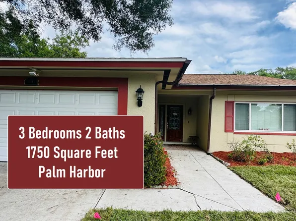 2361 Orangeside Rd, Palm Harbor, FL 34683