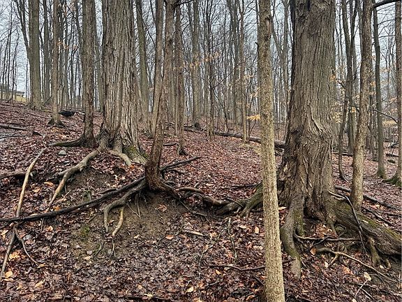 3rd image of Nob Rd Lot 18