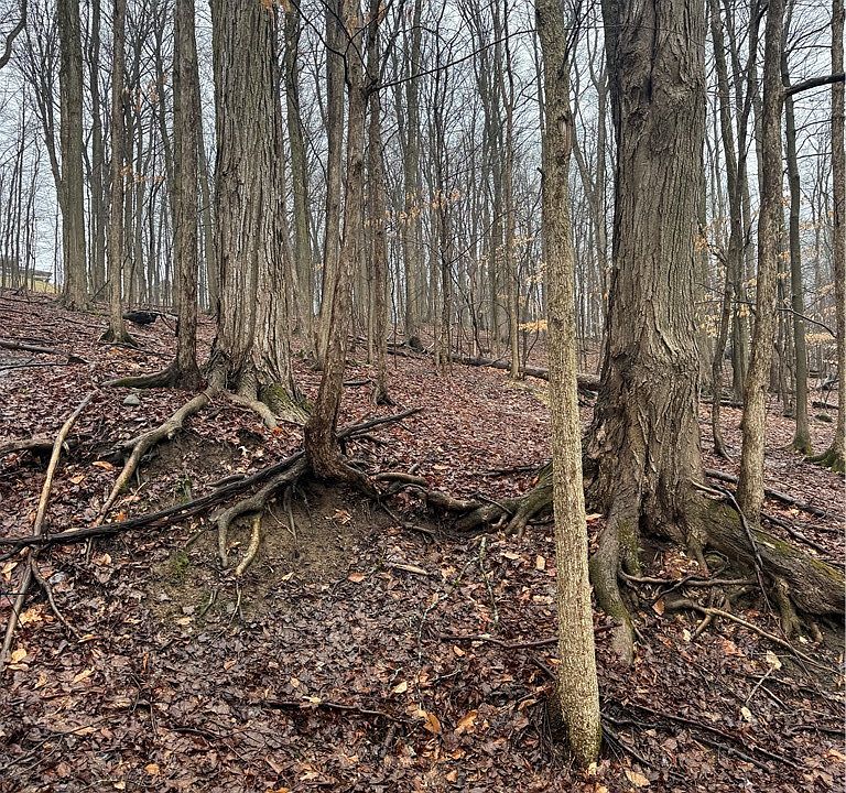 1st image of Nob Rd Lot 20