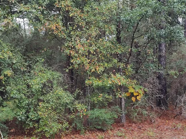 Timberbluff Dr Lot 91, Lumberton, MS 39455