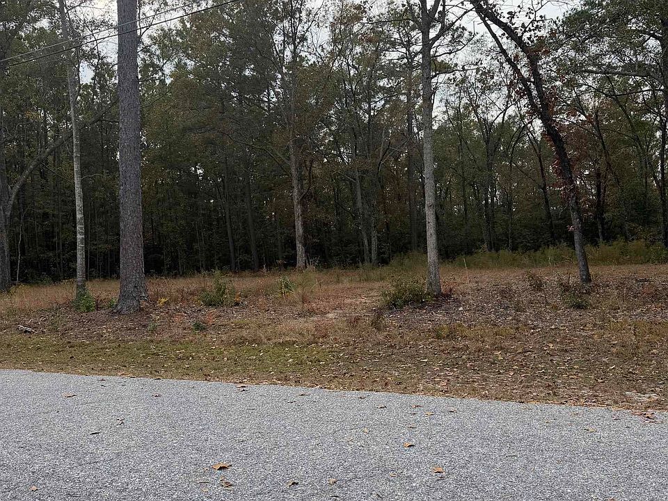 2nd image of 335 Byrnes Circle