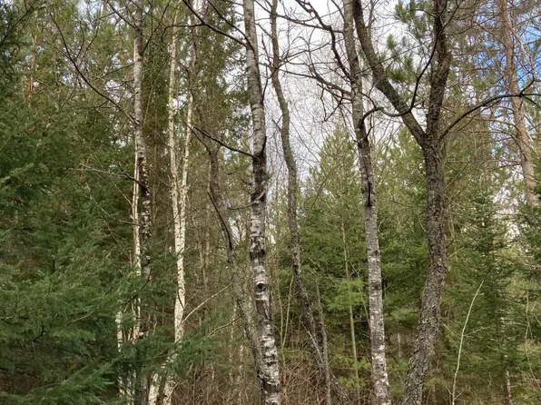 On Hwy #139, Crandon, WI 54520