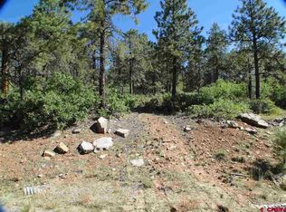 431 Buckhorn Rd, Bayfield, CO 81122