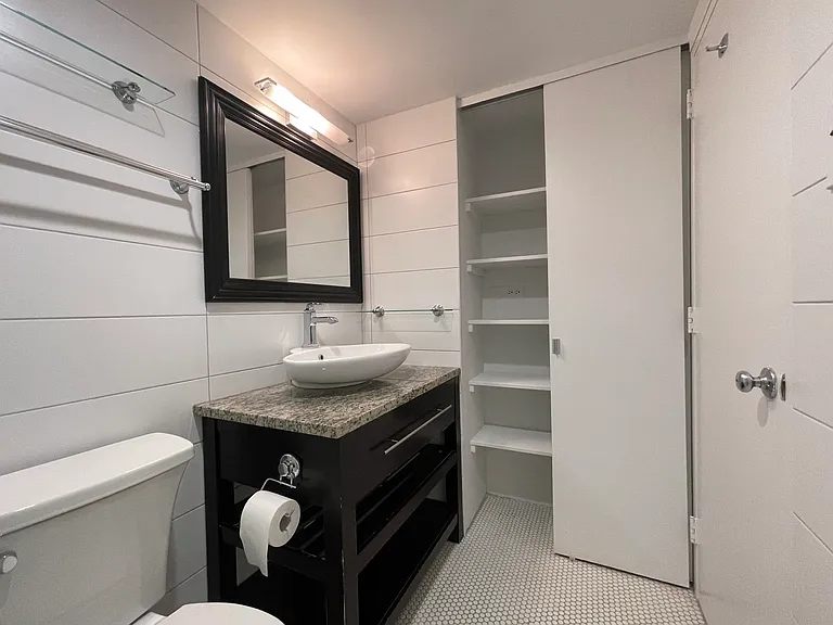175 E Delaware Pl #5004 — Photo 14