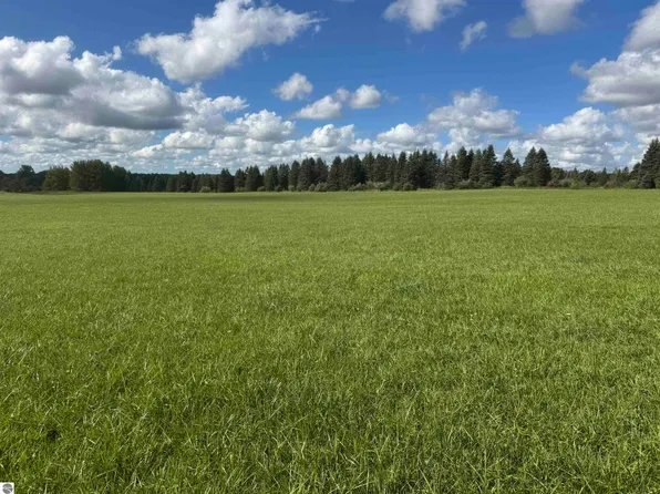 0 Ora Lake Rd, Hale, MI 48739