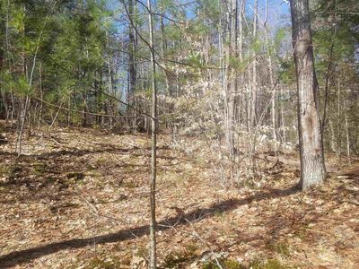 11-33 & 39 Raymond Rd #11-33, Auburn, NH, 03032