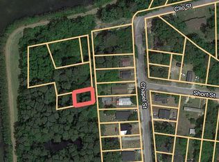 Chapel St, Latta, SC 29565