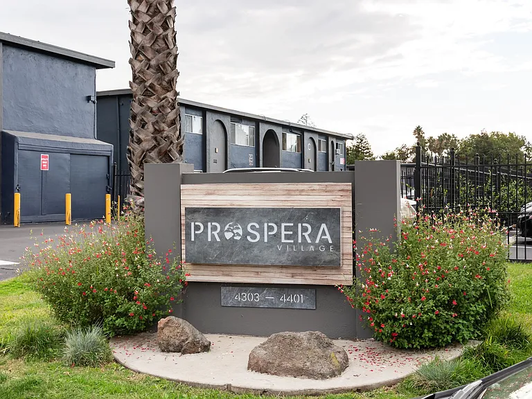 Prospera Village — Photo 15